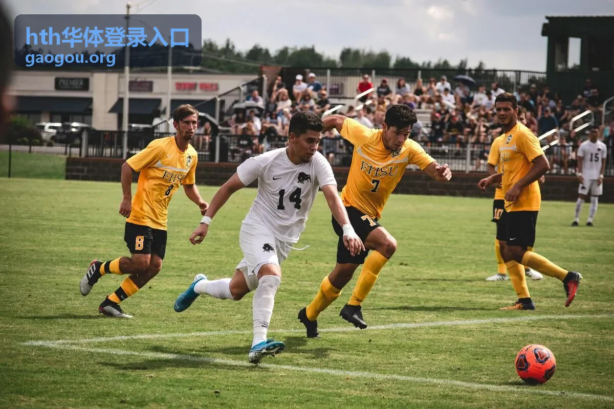 hth华体登录入口 场馆时段查询服务缩略图