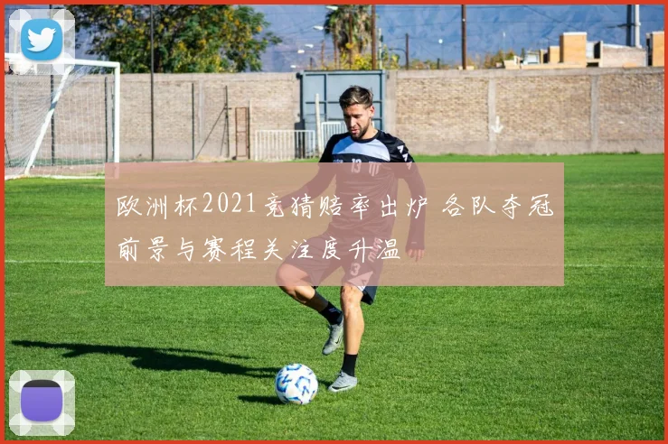 欧洲杯2021竞猜赔率出炉 各队夺冠前景与赛程关注度升温