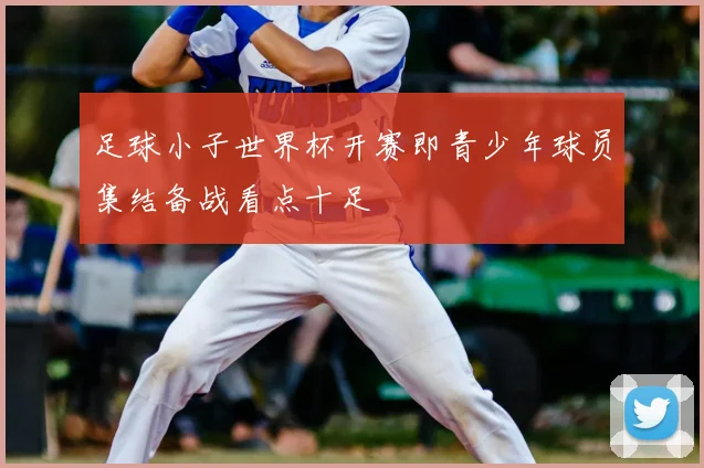 足球小子世界杯开赛即青少年球员集结备战看点十足