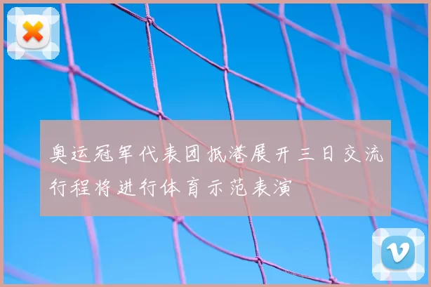 奥运冠军代表团抵港展开三日交流行程将进行体育示范表演