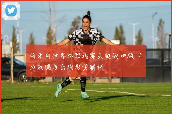 匈牙利世界杯预选赛关键战回顾 主力表现与出线形势解析