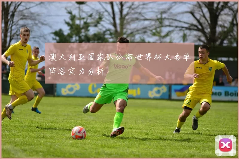 澳大利亚国家队公布世界杯大名单阵容实力分析